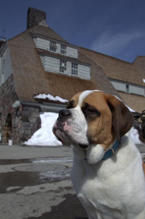 Timberline Lodge Esterno foto