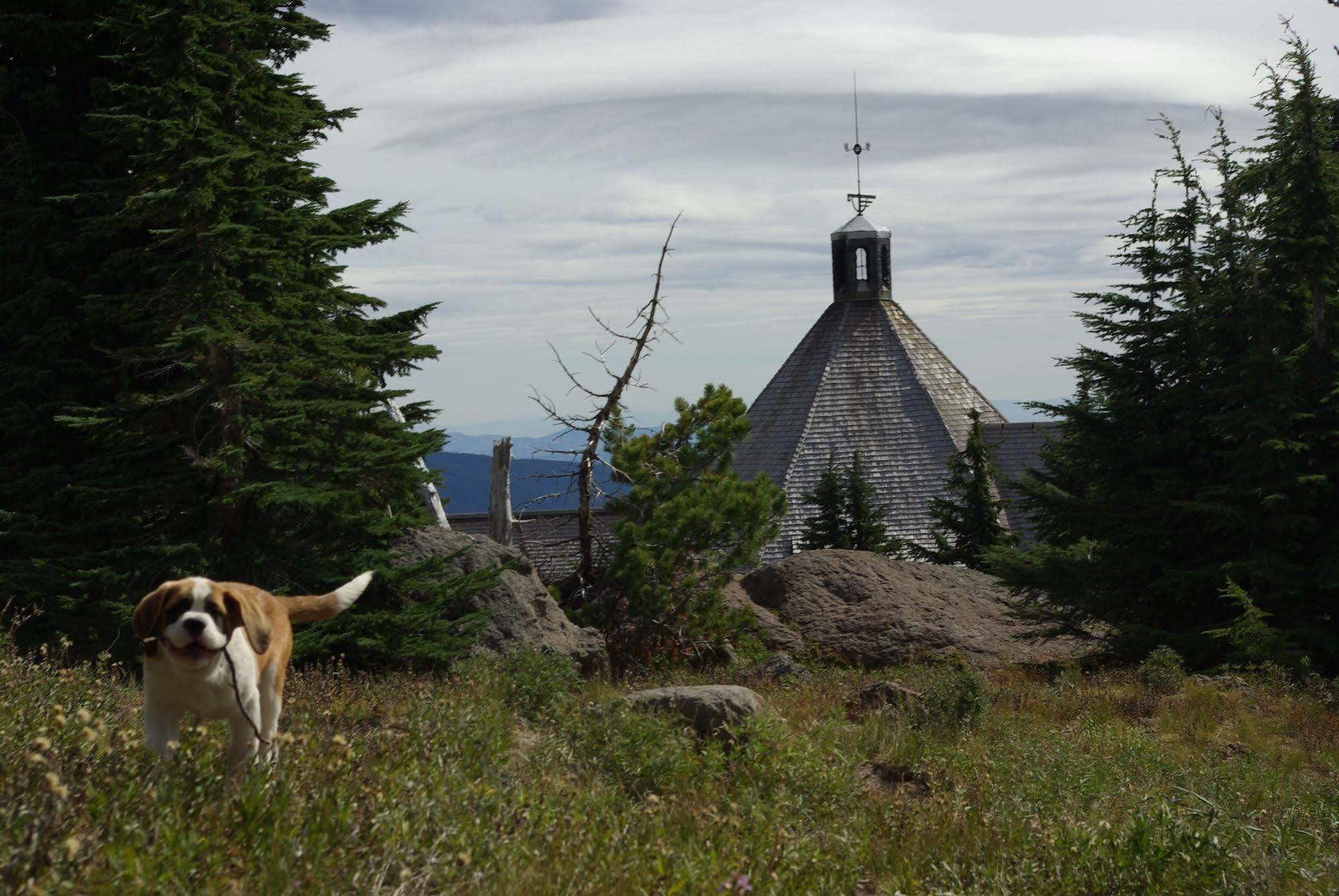 Timberline Lodge Esterno foto